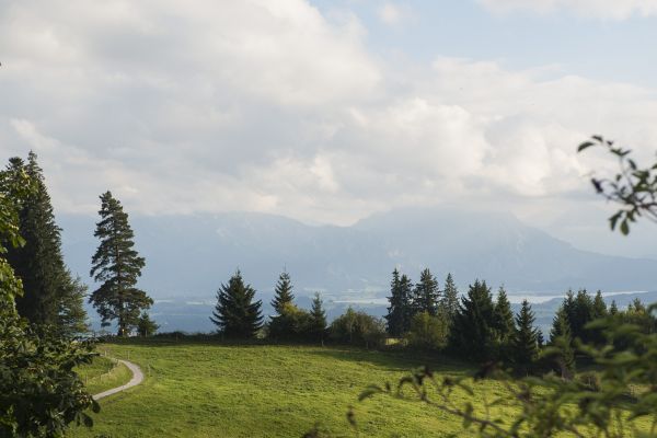auf dem Auerberg Panorama-Gasthof (Bernbeuren)